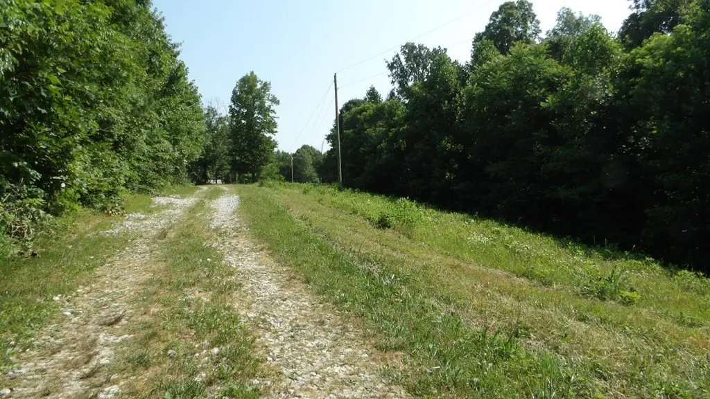 Picture 37