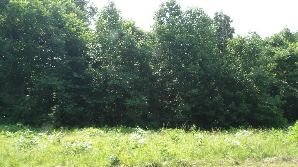Picture 22