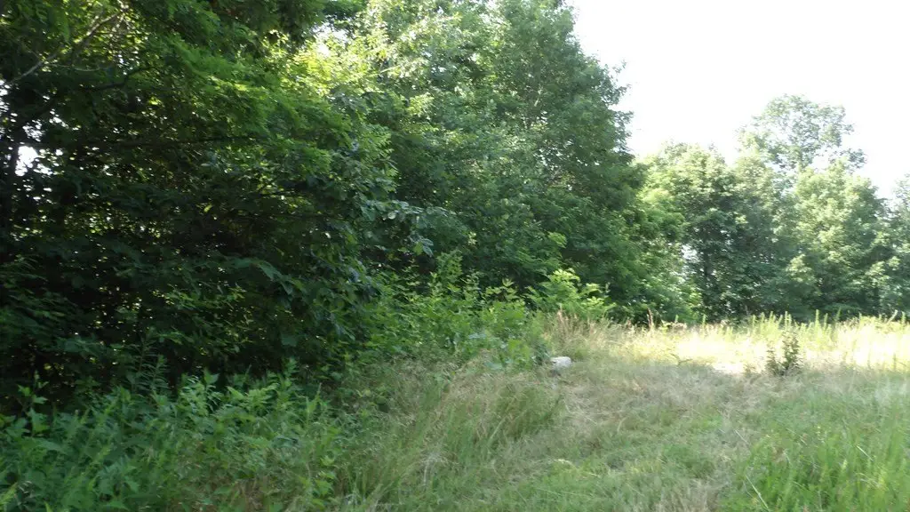 Picture 8