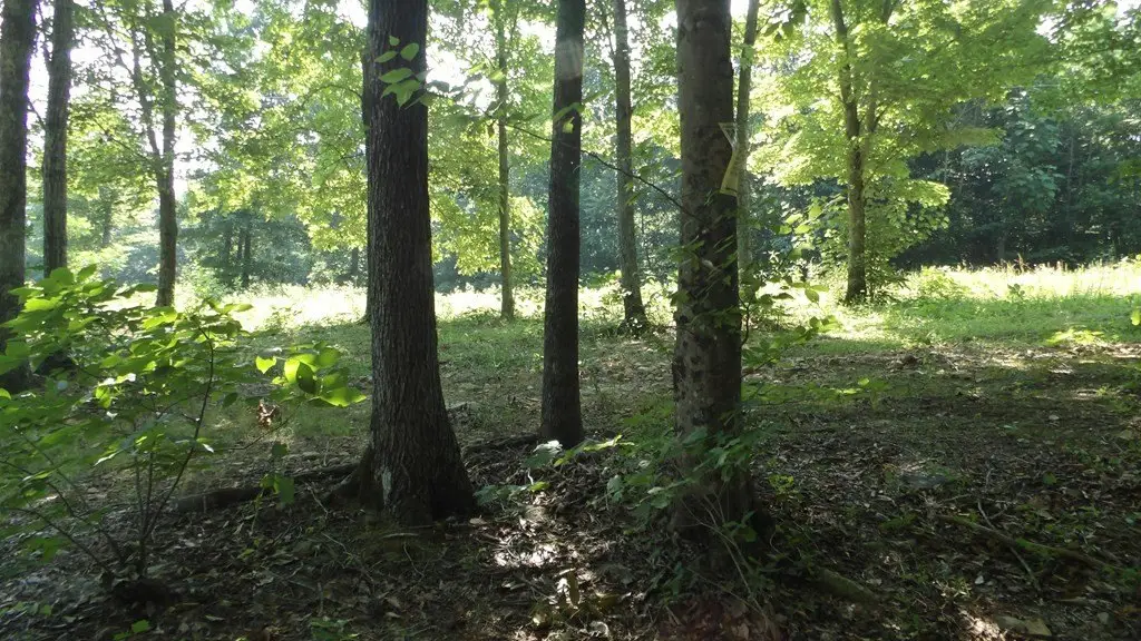 Picture 19