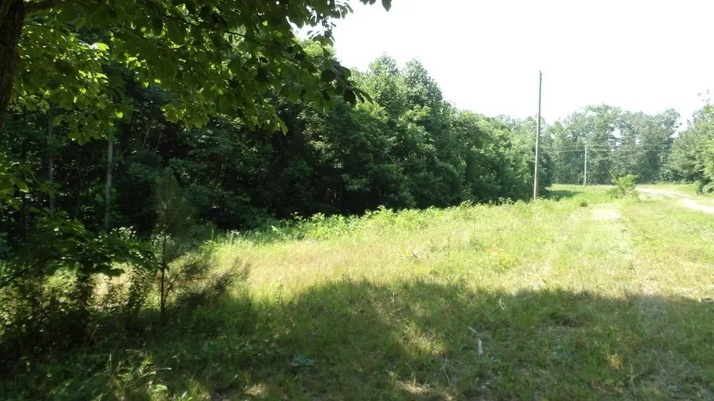 Picture 28