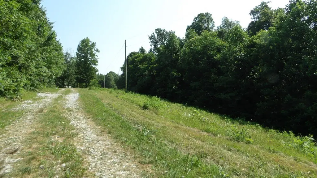 Picture 36