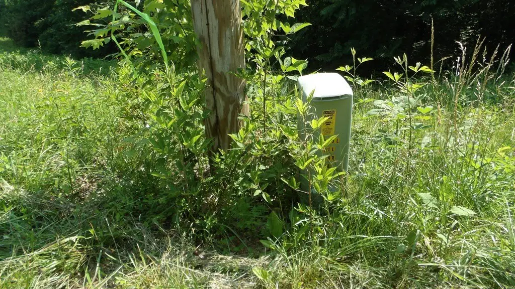 Picture 42