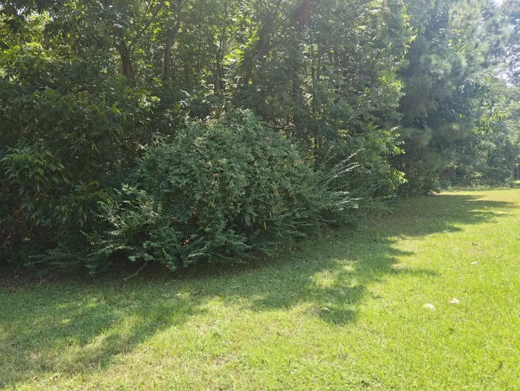 Picture 3