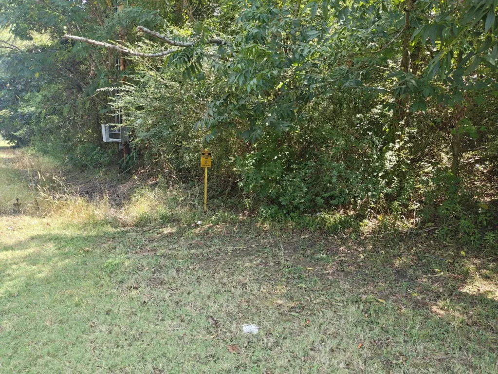 Picture 4