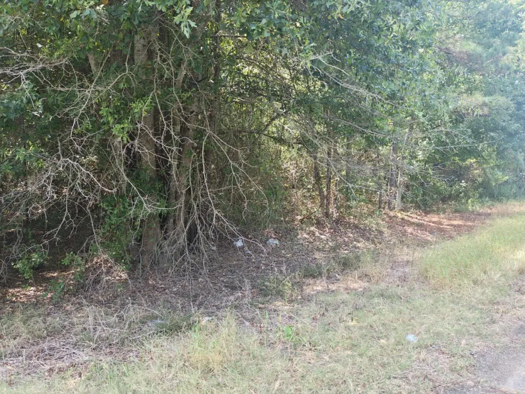 Picture 6