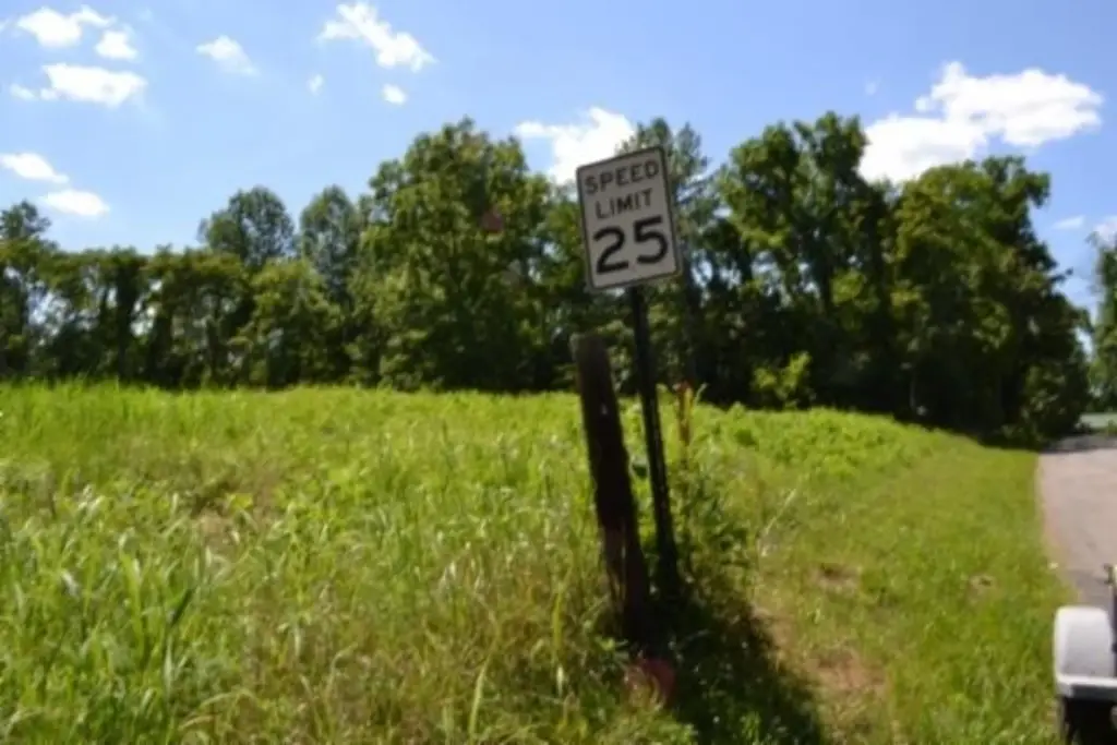 Picture 43