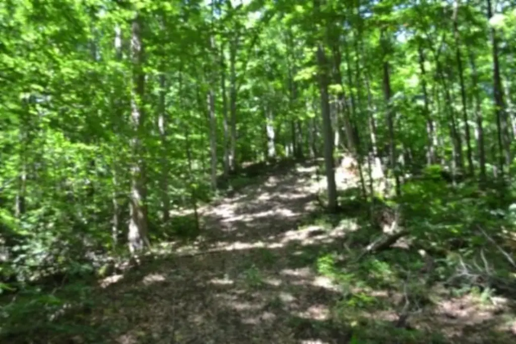 Picture 29