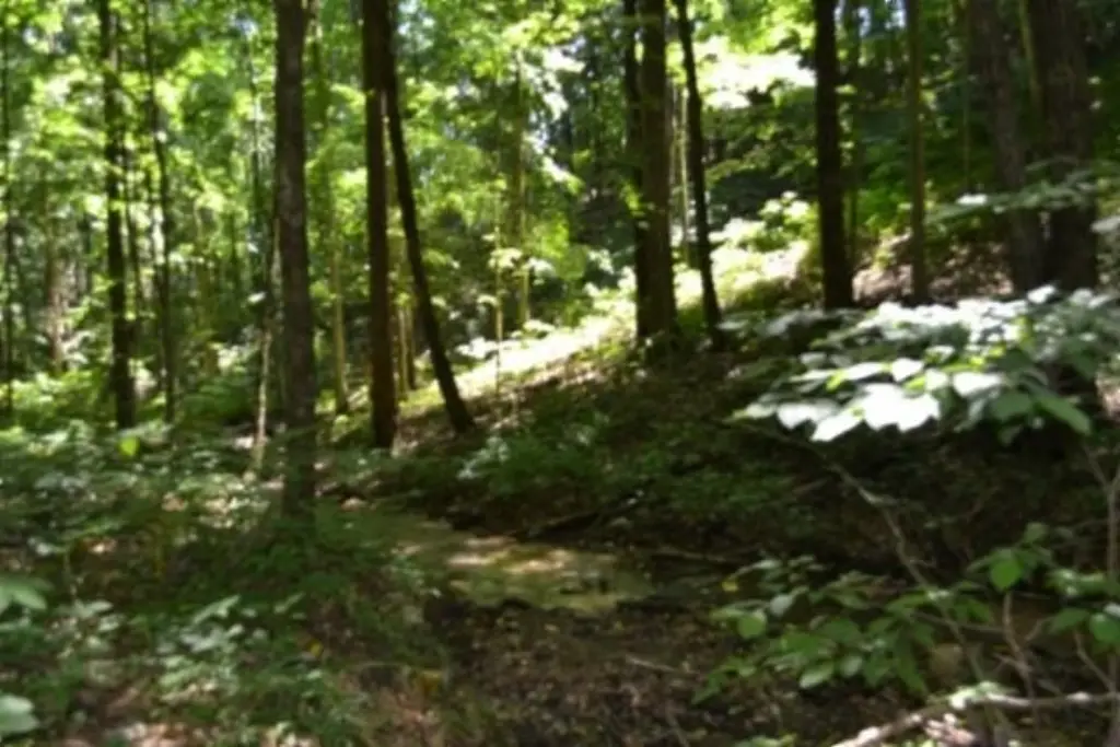 Picture 16