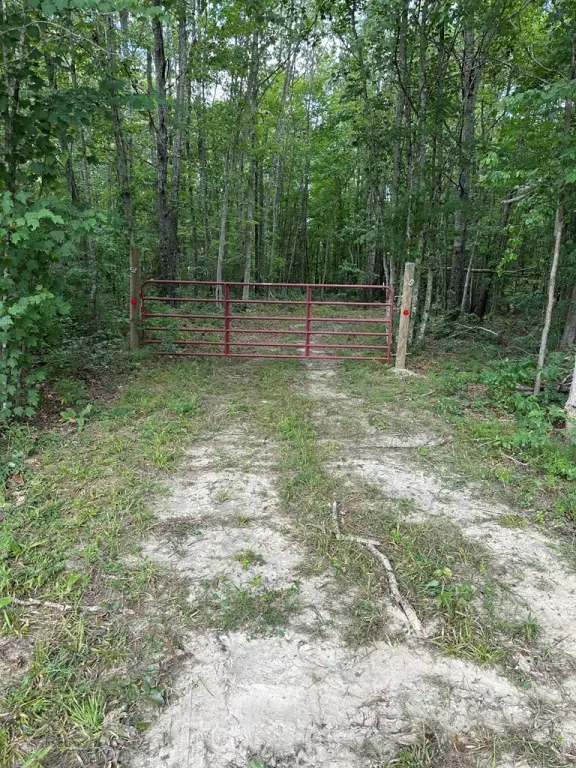 Picture 15