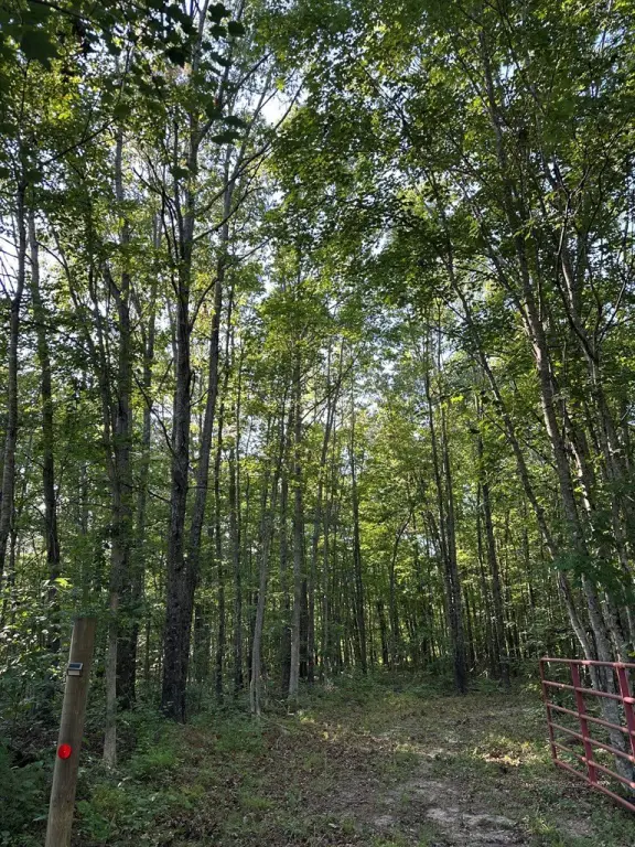 Picture 16