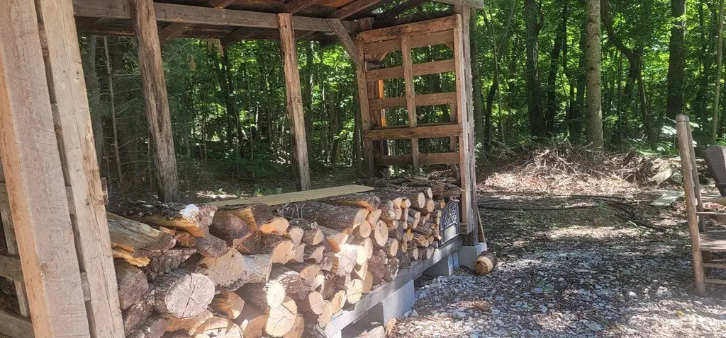 Picture 6