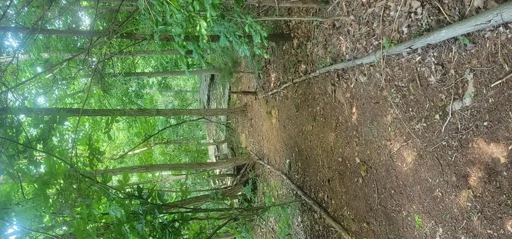 Picture 35