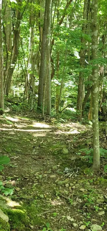 Picture 13
