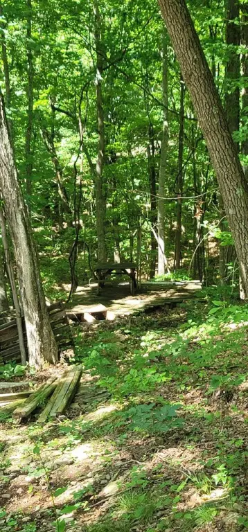 Picture 16