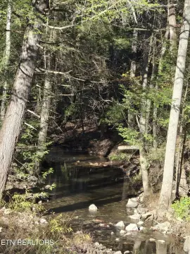 Land with Creek in Jamestown, TN