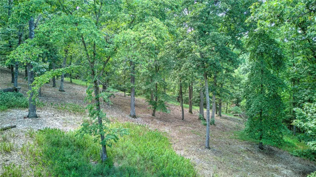 Picture 11