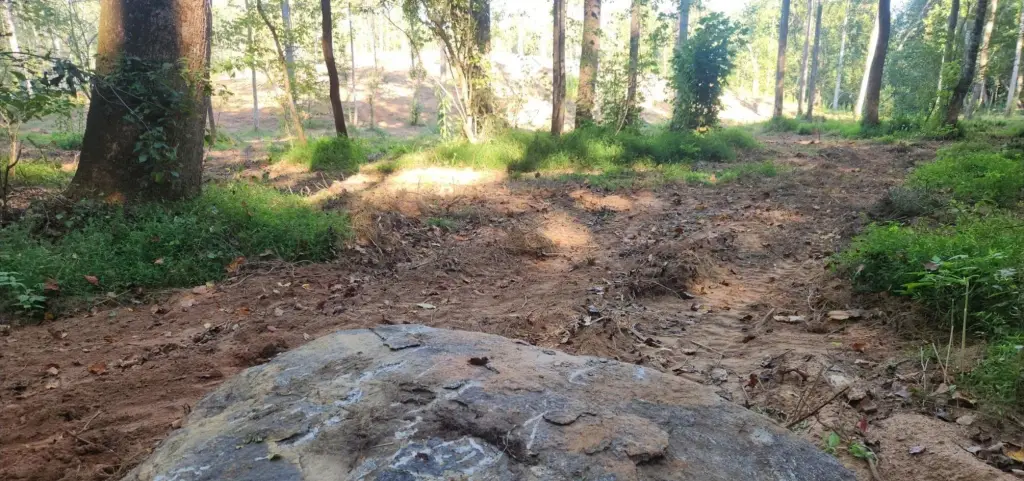 Picture 17