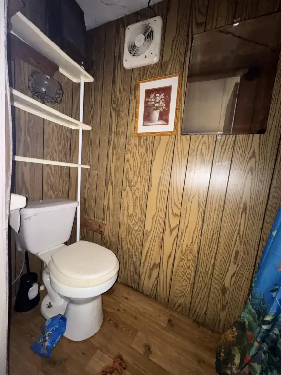 Picture 23
