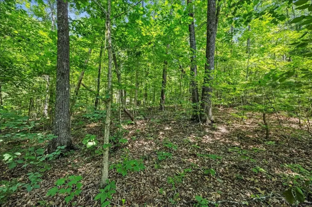 Picture 13