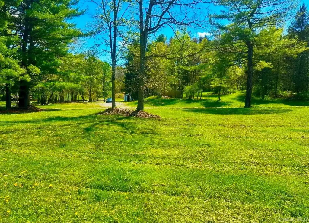 Picture 2