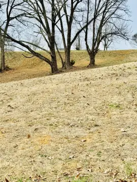 Windswept Subdivision Land with Views