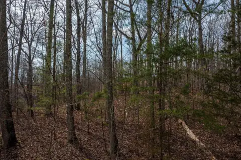 Roane County Land Opportunity