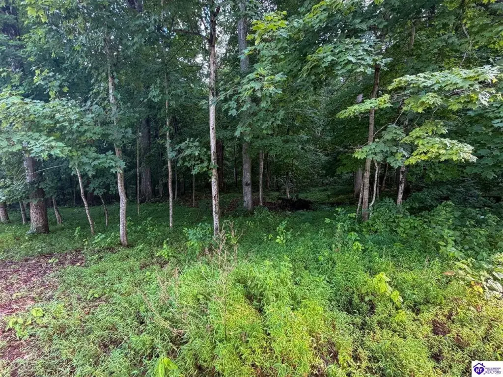 Picture 8
