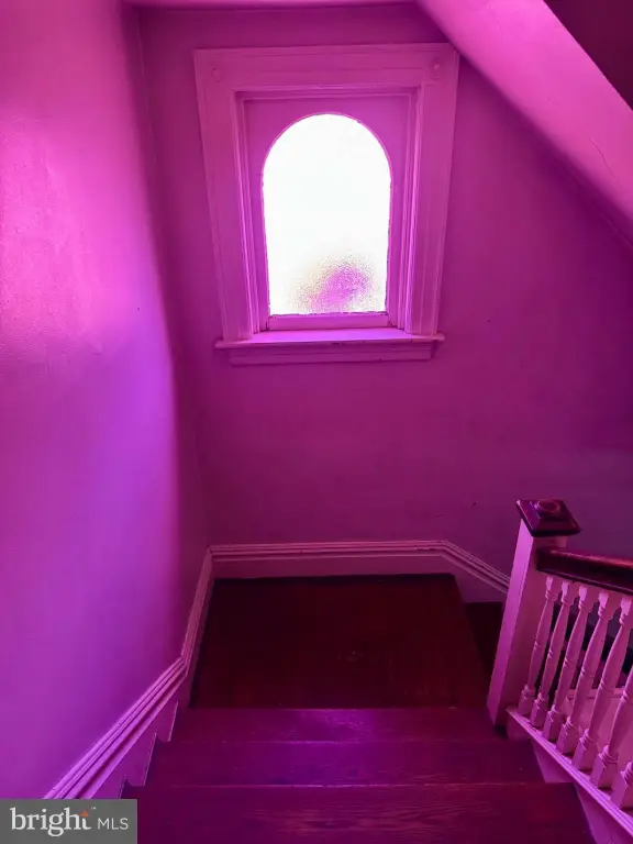 Picture 23