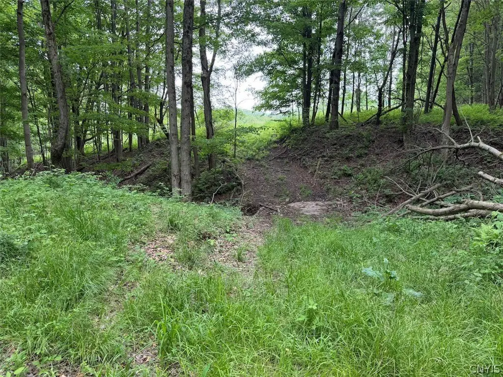 Picture 25