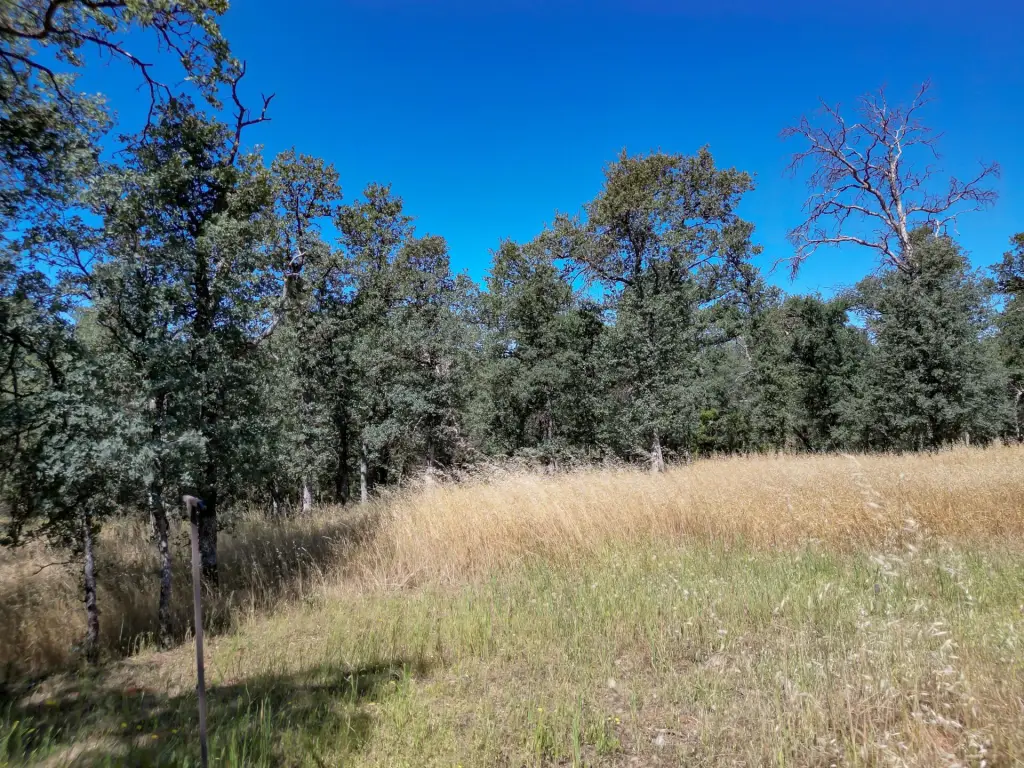 Picture 15