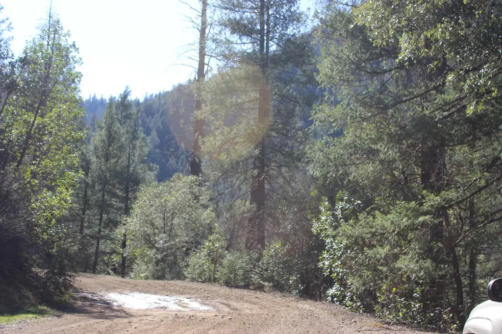 Picture 15