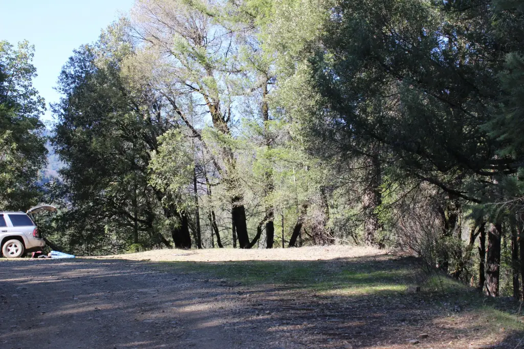 Picture 12
