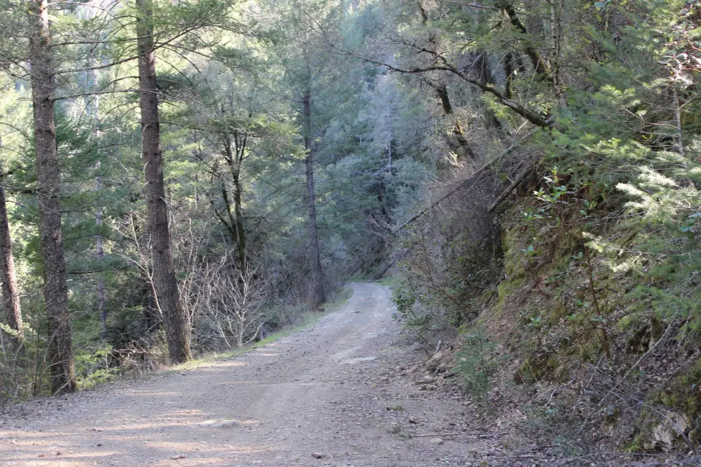 Picture 10