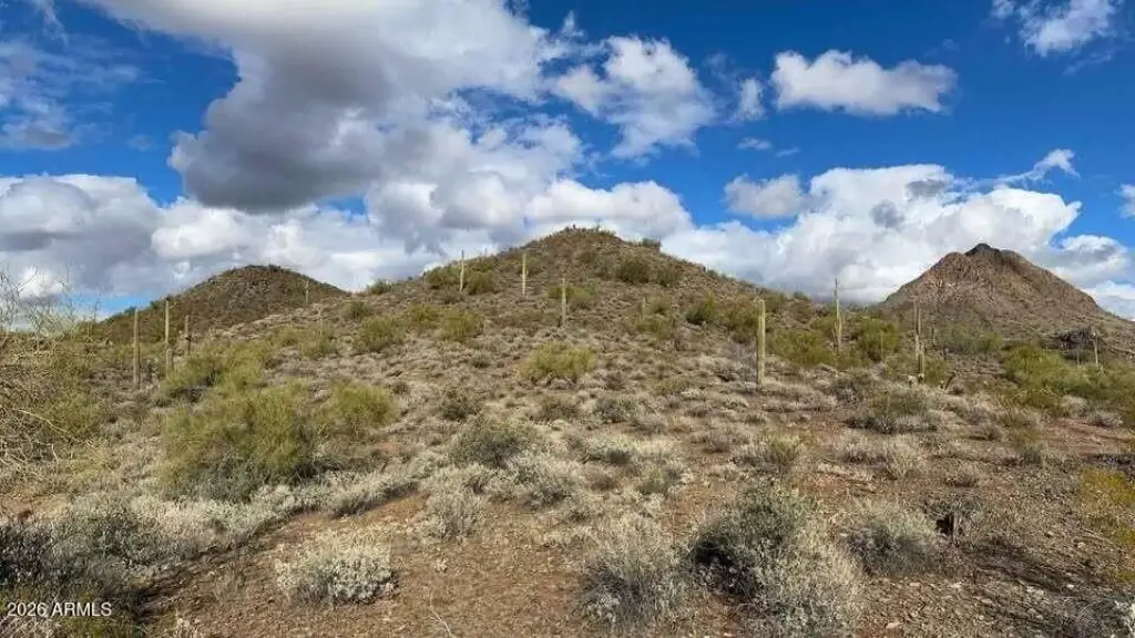 Picture 16