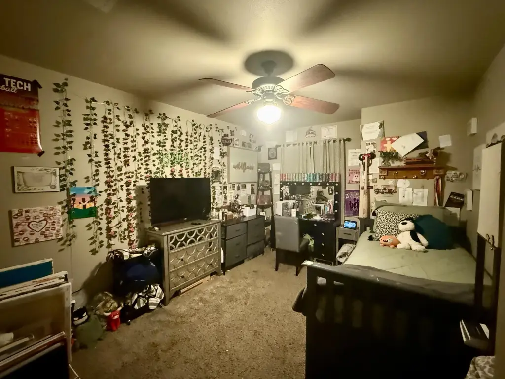 Picture 6