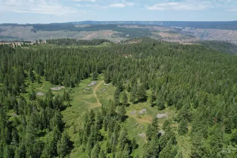 Oregon Land with Timber Potential