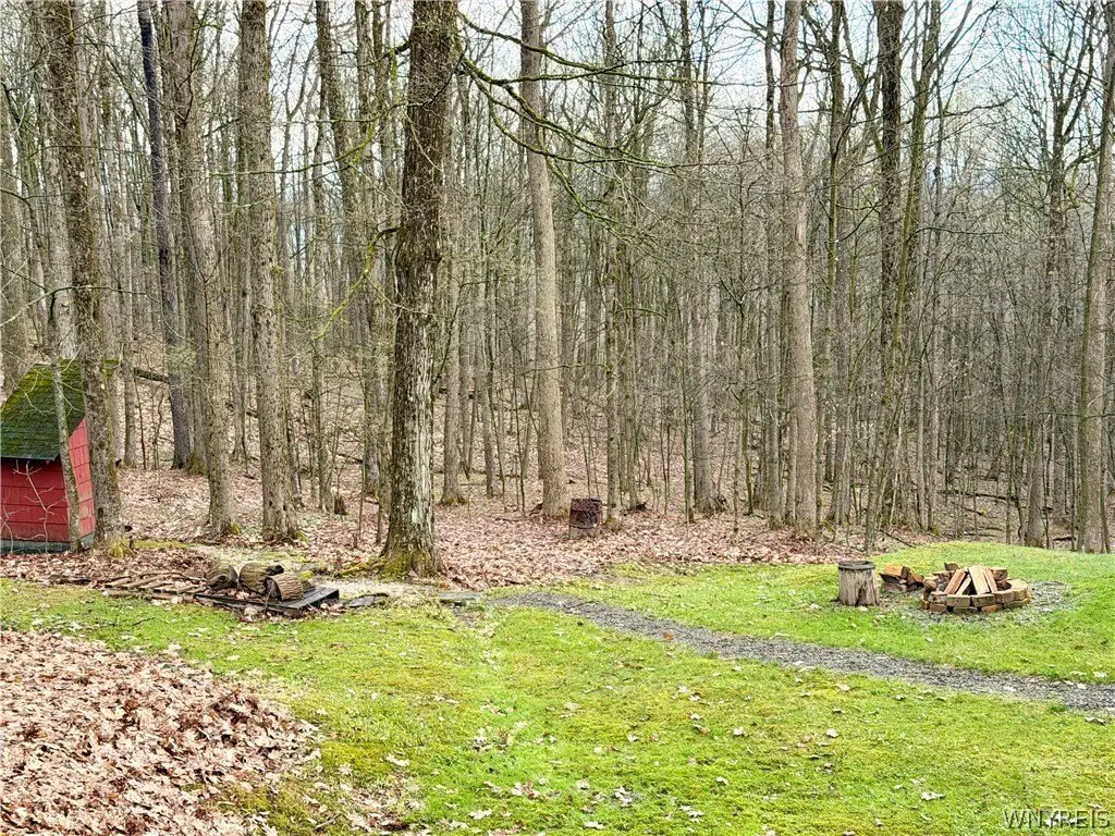 Picture 6