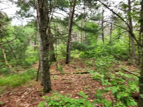 Land Near Lake Petenwell