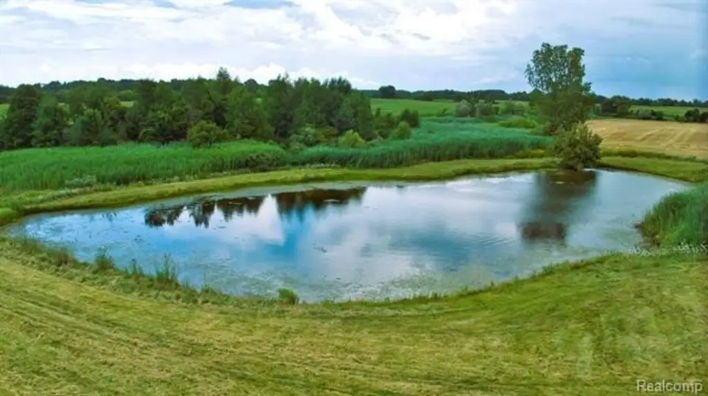 Picture 14
