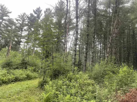 Wausau Land with Hunting Potential
