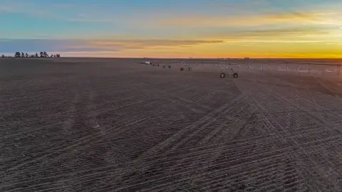 Irrigated Cropland Farm/Estate Auction