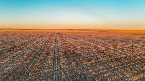 320 Acres of Dryland Cropland