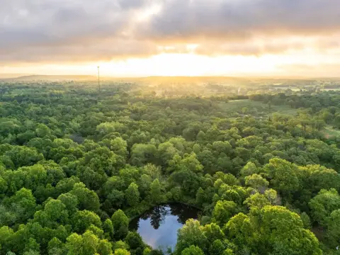 Seventy Acre Hunting Land