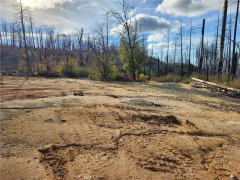 Land Lot in Berry Creek