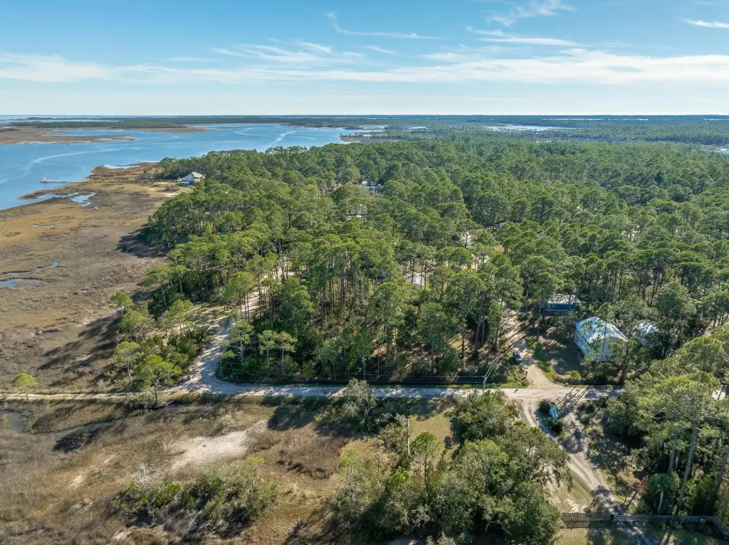 Picture 6