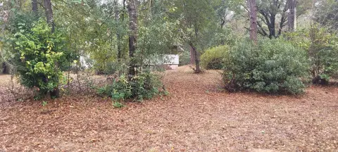 Acre Lot in Tallahassee, FL