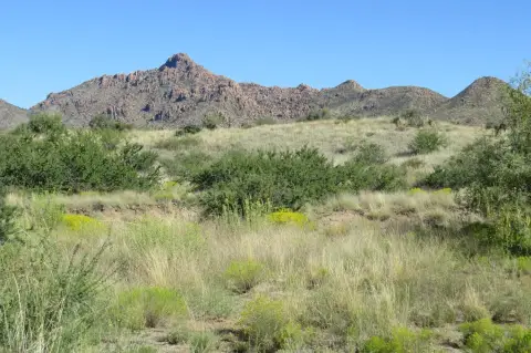 Kirkland Vacant Land with Views