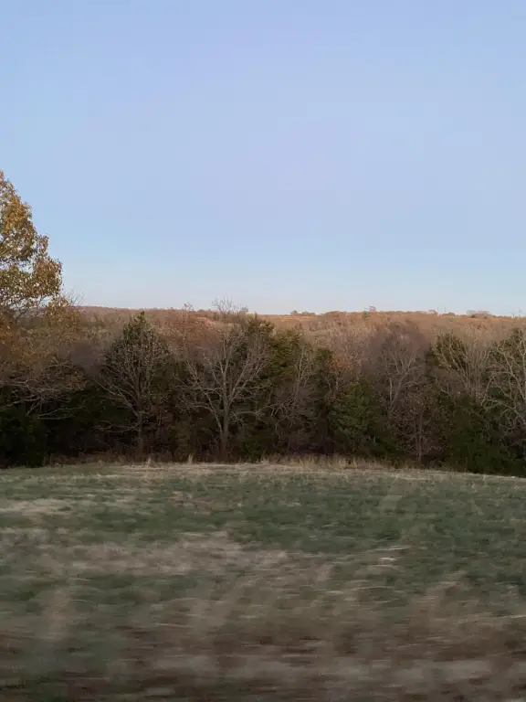 Picture 4