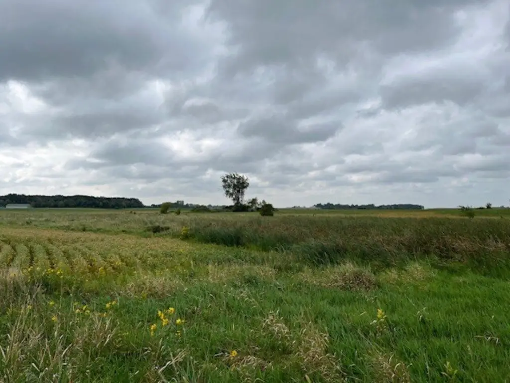 Picture 33